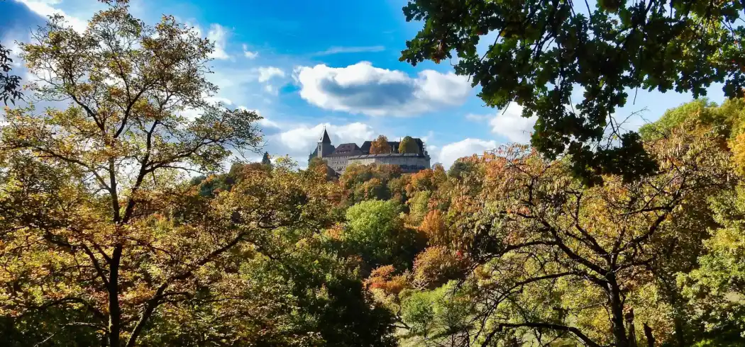 Thüringer Wald Hotel Roulette - Bild 1