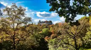 Thüringer Wald Hotel Roulette