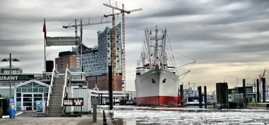 Foto - König Löwen