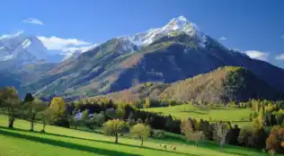 Landgasthof Astner in Münster, Tirol – Alpbachtal