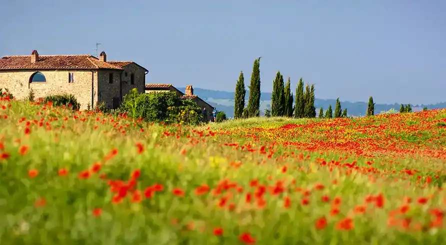 Foto - Toskana Hotel