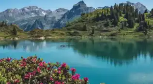 angebotsbild