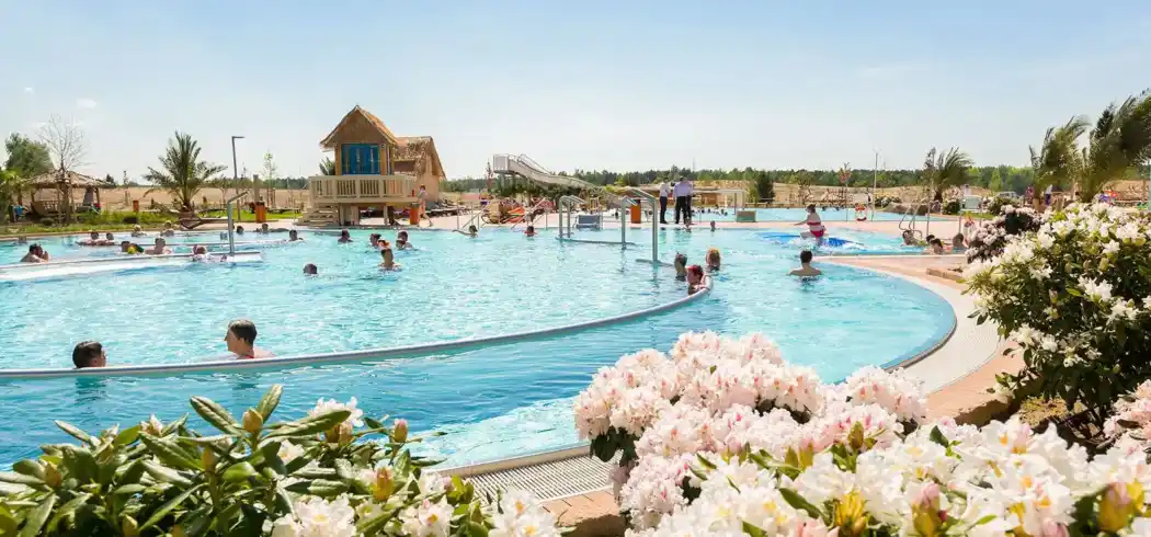 Foto - Tropical Island