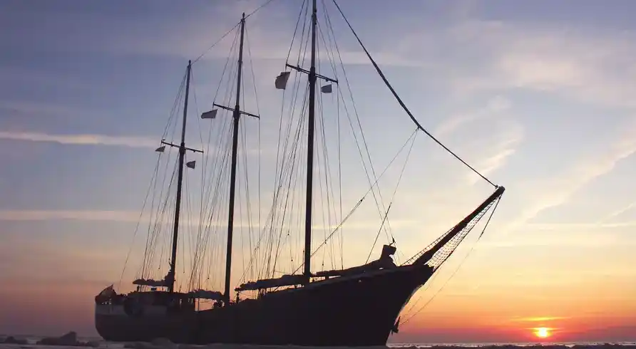 Foto - Tulpentour mit Rad und Segelschiff ab Amsterdam