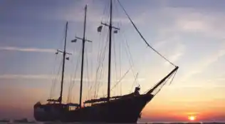 Tulpentour mit Rad und Segelschiff ab Amsterdam
