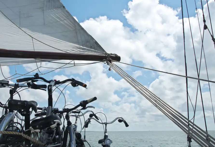 Ansicht - Tulpentour mit Rad und Segelschiff ab Amsterdam