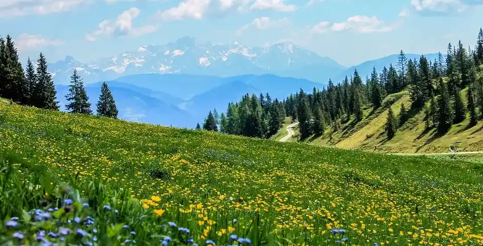 Foto - Überquerung Südlichen