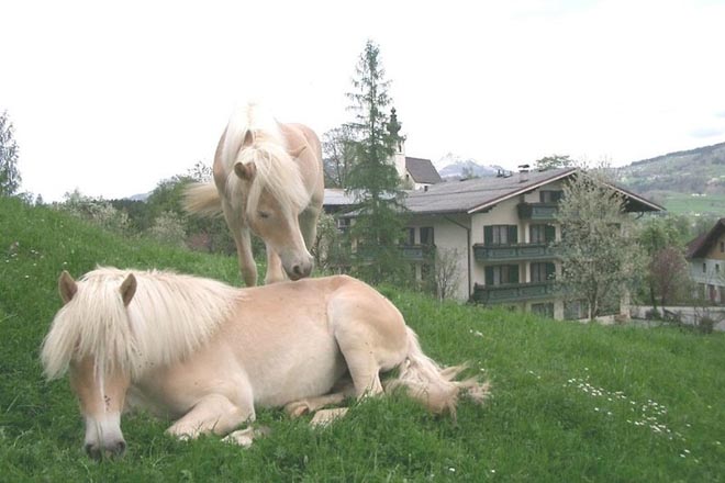 Angebotsfoto 303.jpg