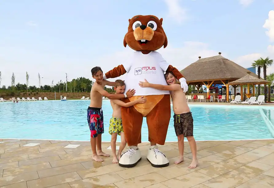 Ansicht - Balaton Nächte