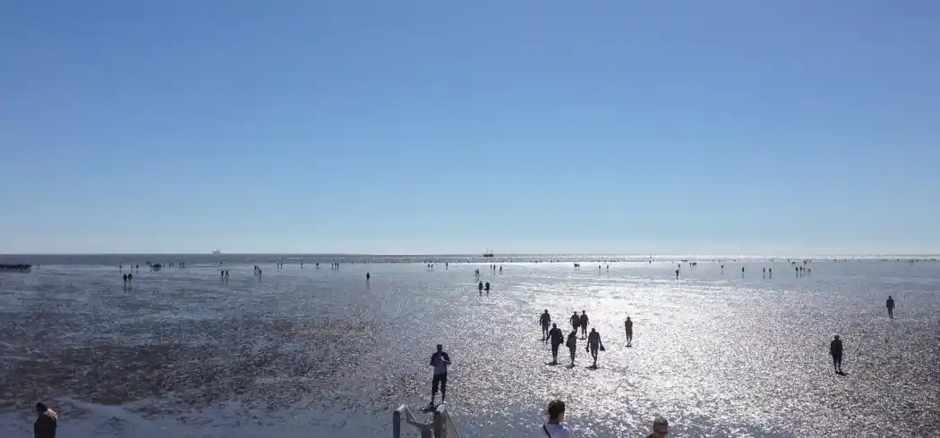 Foto - Nächte Büsum