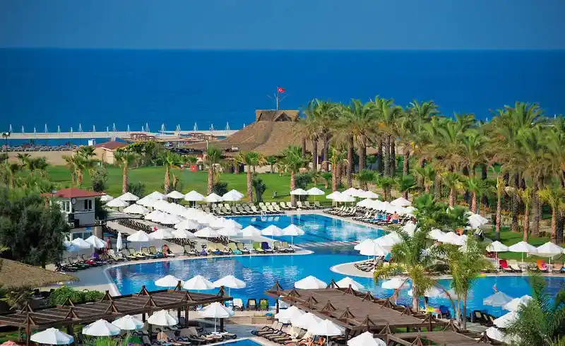 Foto - Calimera Serra