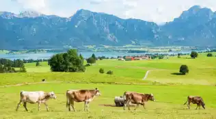 angebotsbild