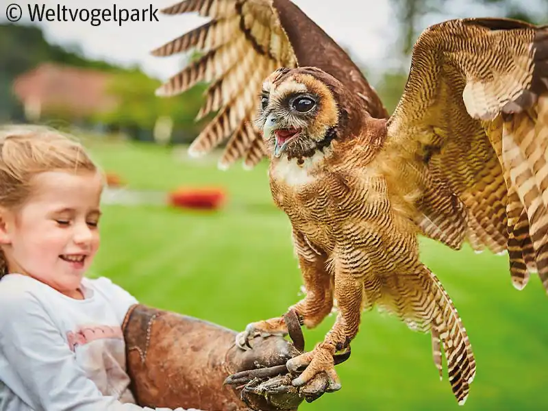 Impression - Lüneburger Heide