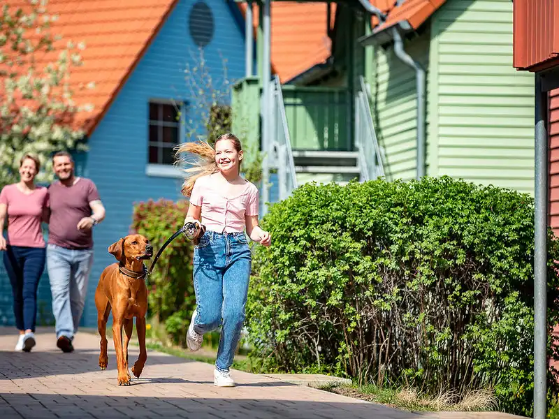 Detail - Beech Resort