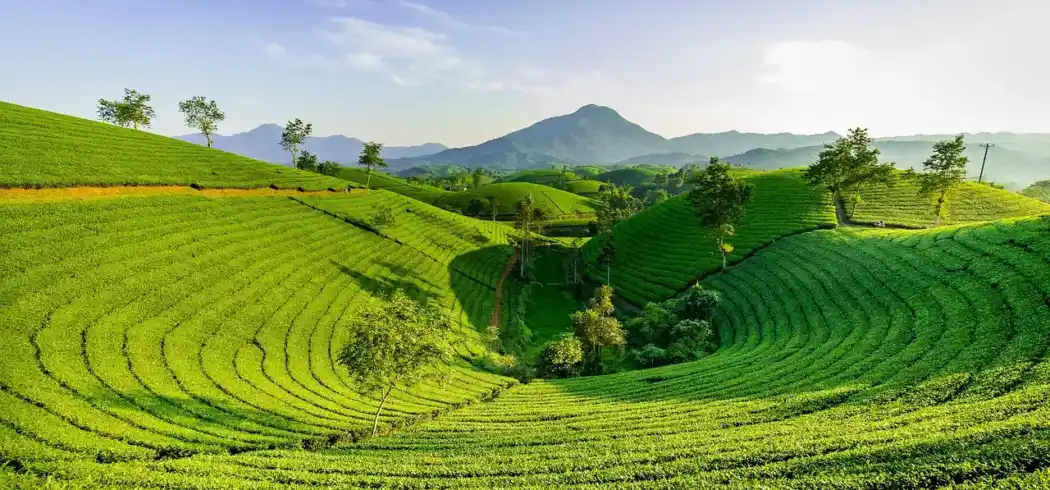 Foto - Vietnam Rundreise