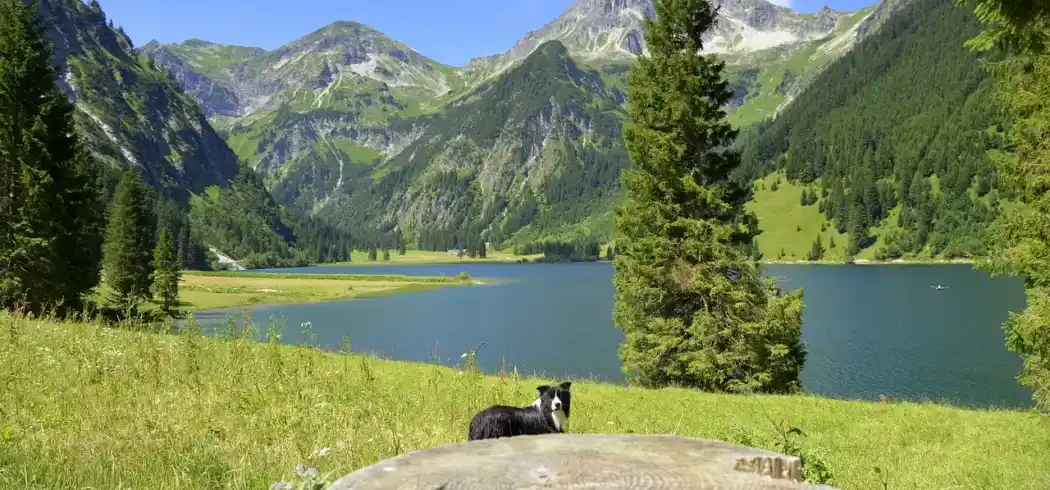 Wandern Stubaital - Bild 1