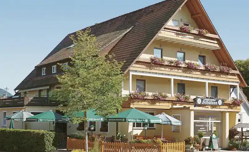 Nächte Baiersbronn - Bild 1