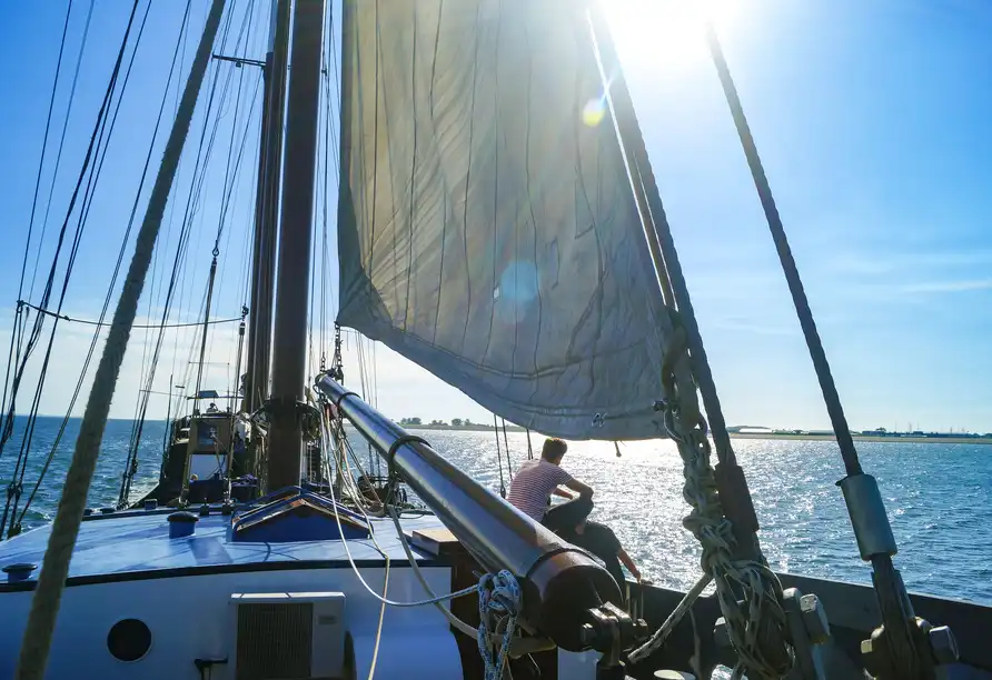 Impression - Segelschiff Wattenmeer