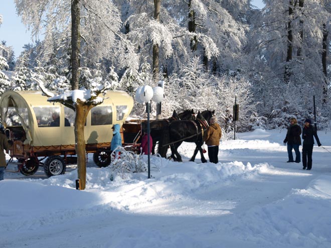 Weihnachten im Harz 5 Nächte HP ab 279.- Reisen-Supermarkt