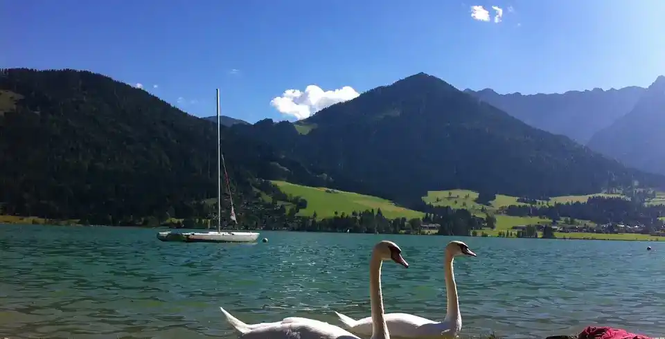 Foto - Wellness Walchsee