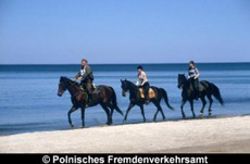 Angebotsfoto 303.jpg