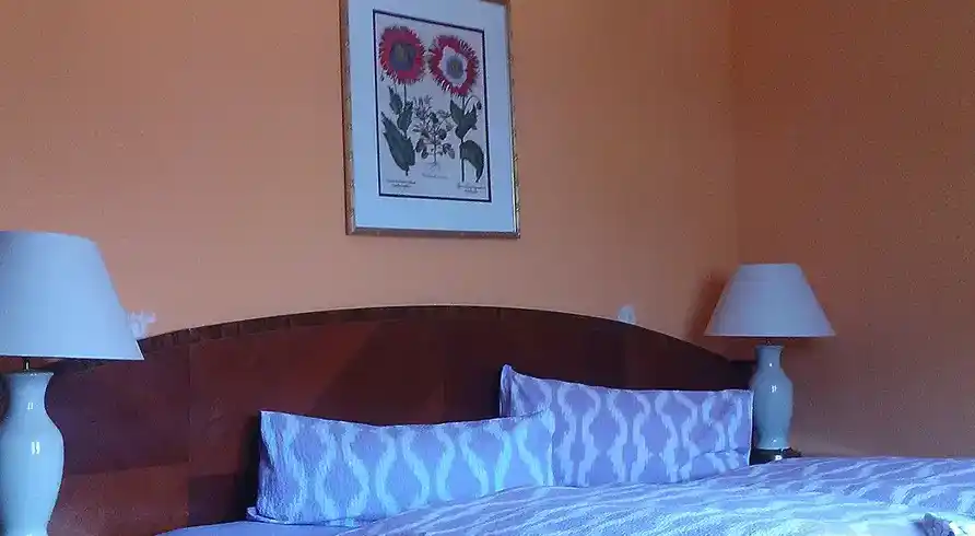 Aufnahme - Titisee Nächte