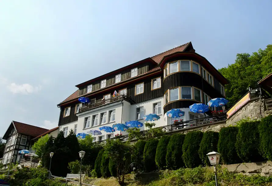 Aufnahme - Harz Altenbrak