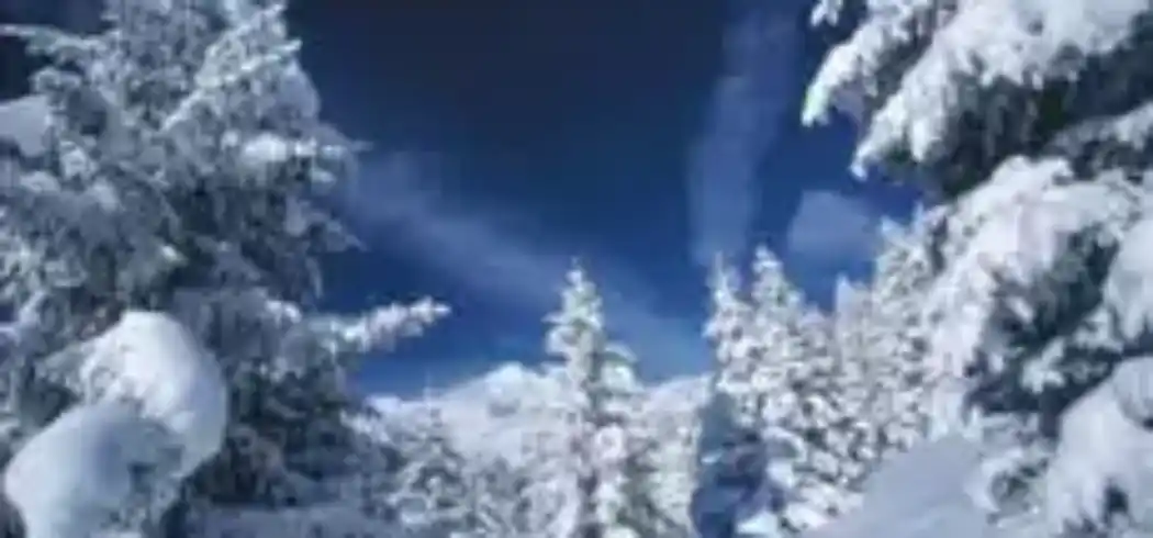 Foto - Winterurlaub Tirol