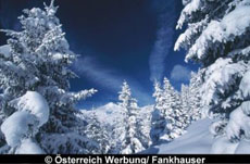 Angebotsfoto 101.jpg