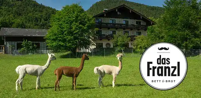 Wolfgangsee Eurotherme - Bild 2