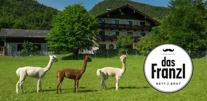 Aufnahme - Wolfgangsee Eurotherme