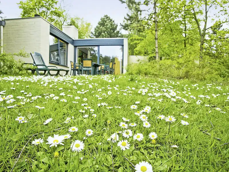 Impression - Center Parcs