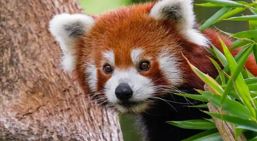 Zoo Duisburg - Bild 1