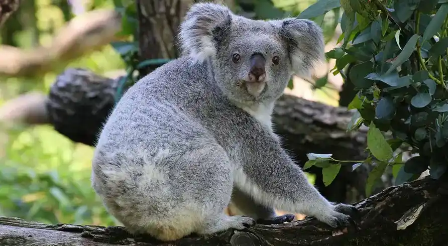 Zoo Duisburg - Bild 3