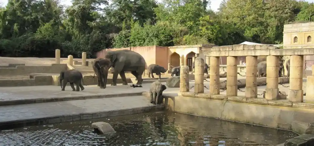 Foto - Erlebniszoo Hannover