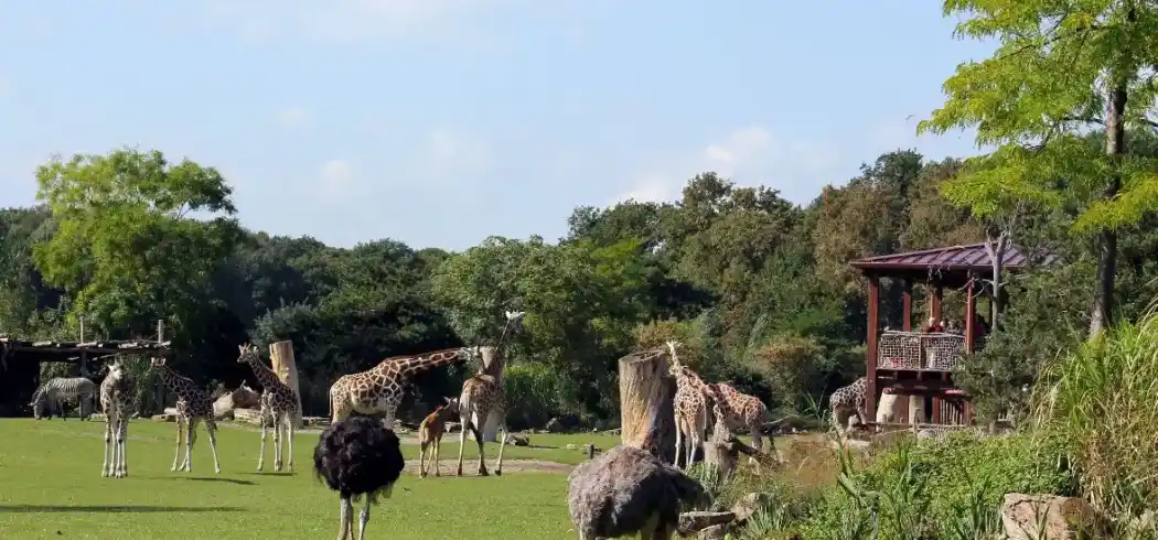 Zoo Leipzig - Bild 1