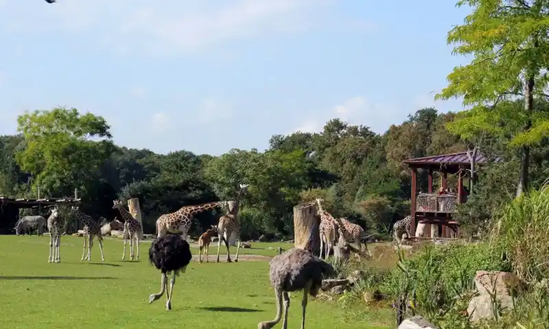 Leipziger Zoo Hotel mit Tageseintrittskarte