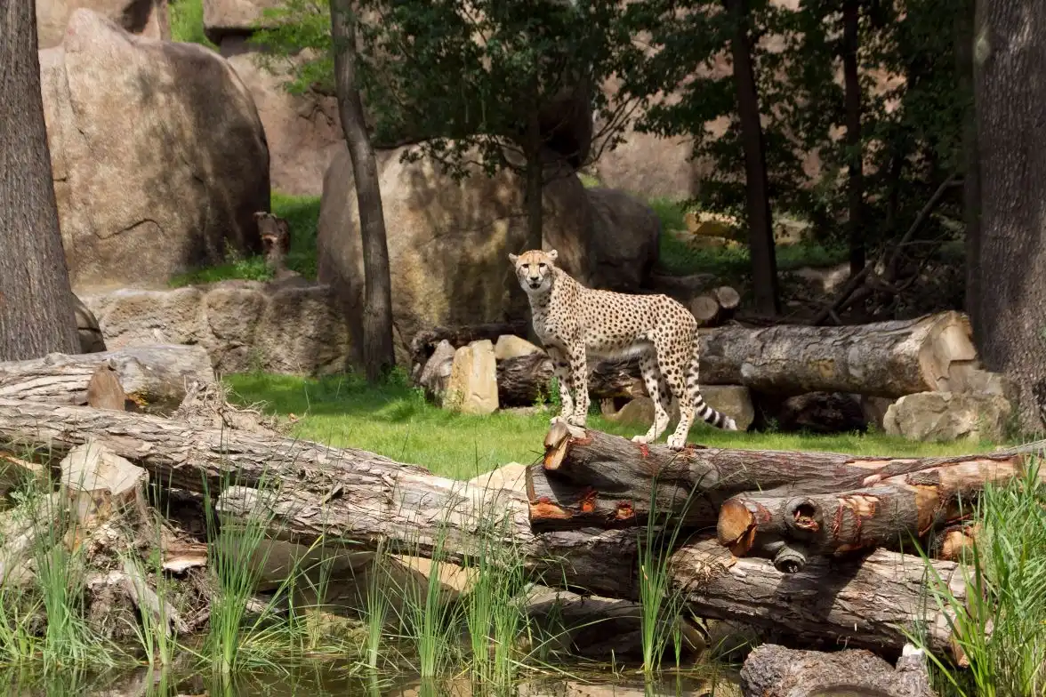 Impression - Zoo Leipzig
