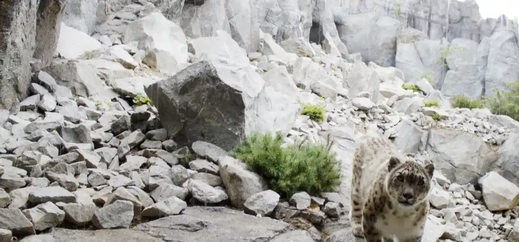 Zoo Leipzig - Bild 5