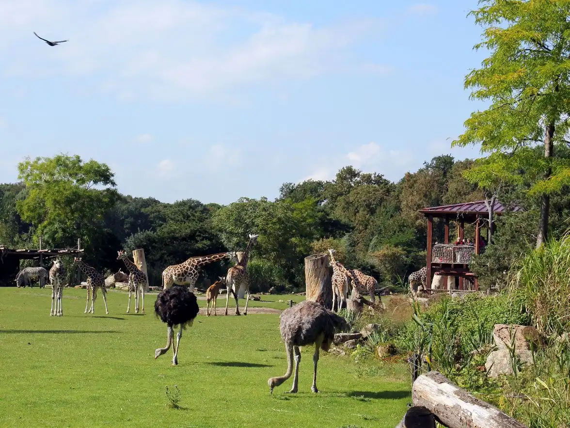 Impression - Leipziger Zoo mit Hotel