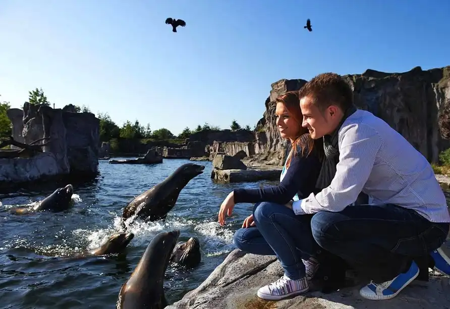 Aufnahme - ZOOM Gelsenkirchen